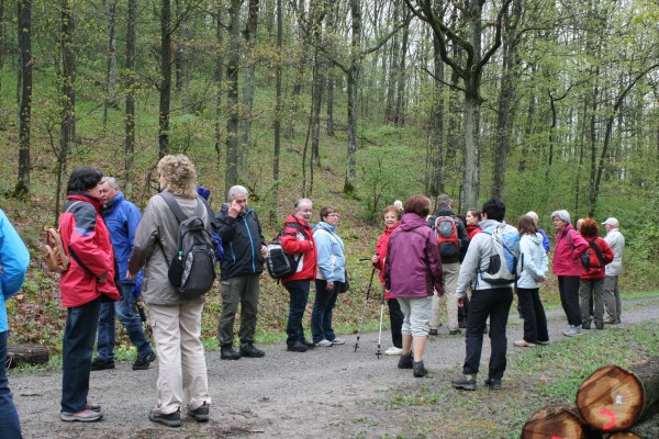Weinwanderung - 2 -