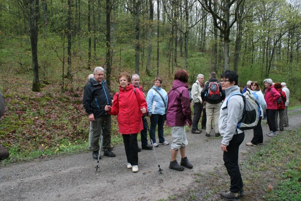 Weinwanderung - 4 -