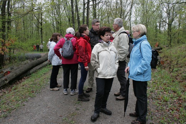 Weinwanderung - 6 -