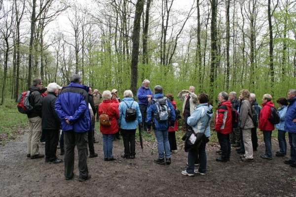 Weinwanderung - 7 -