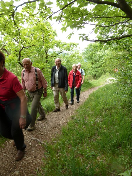Weinwanderung - 14 -