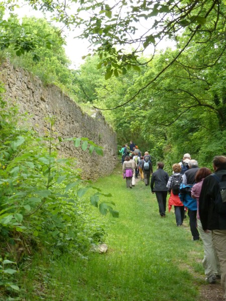 Weinwanderung - 7 -