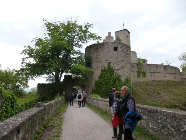 Weinwanderung - 8 -
